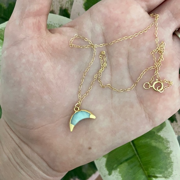 Anthropologie Jewelry - 💓Half Moon Choker necklace